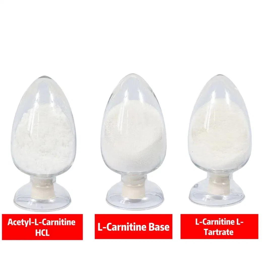 Wholesale Prices High Purity L-Carnitine Tartrate/ L-Carnitine-L-Tartrate CAS: 36687-82-8