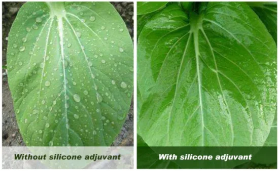 Auxiliar químico agrícola para mezcla de tanques Adyuvante Aerosol de pesticidas Surfactante de silicona Súper esparcidor Adhesivo Adhesivo Líquido de silicona